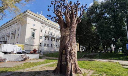 Tree of Wishes