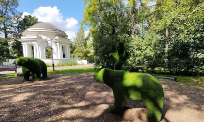 Bears at the Rotunda