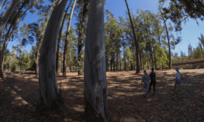 Nannup 3