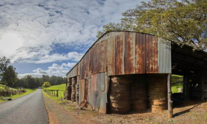Old Shed