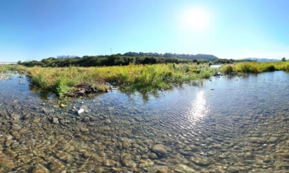 Sunny Riverside Panorama