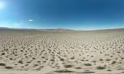 Joshua Tree Desert 360 Panorama
