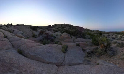 Joshua Tree National Park
