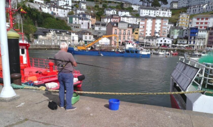 3D Luarca pescando
