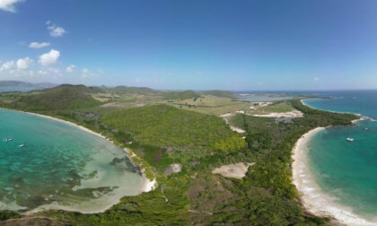 Martinique - Salines beach VR Photo Martinique - Salines beach VR