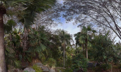 Botanical Garden 3d 180