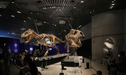 Tiranosaurusu（ティラノサウルス）