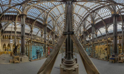 Come on in - Oxford university museum of natural history, UK