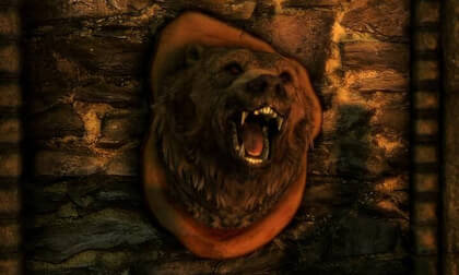 Skyrim Trophy On Wall