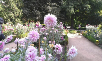 3D SPAIN : Botánico Madrid