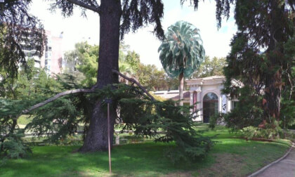 3D SPAIN Jardín botánico de Madrid