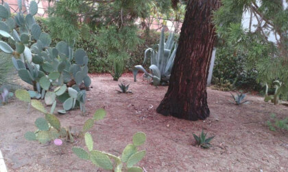 3D SPAIN Jardín botánico de Madrid