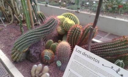 3D SPAIN Jardín botánico de Madrid