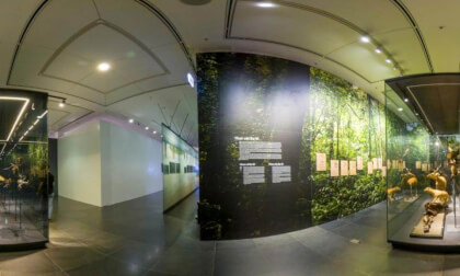 Inside a museum