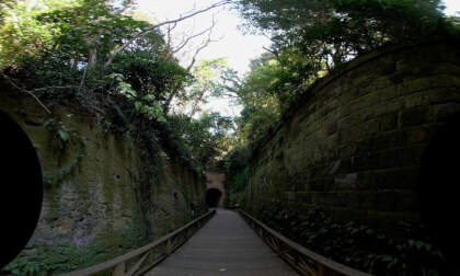 Sarushima 1
